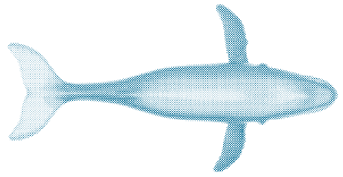 digital graphic of an overhead of a light blue whale